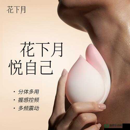 抖阴成人版：成人之美，畅享无限激情