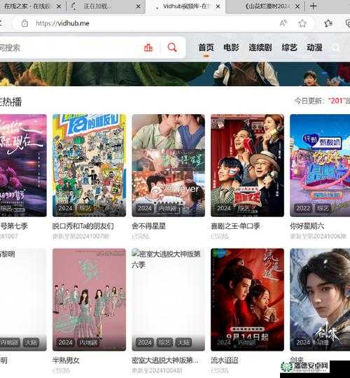 国外 B 站黄页推广：带你领略不一样的精彩视频世界